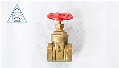 gate valve