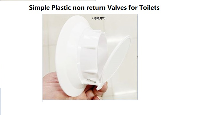 Toilet flanged check valve