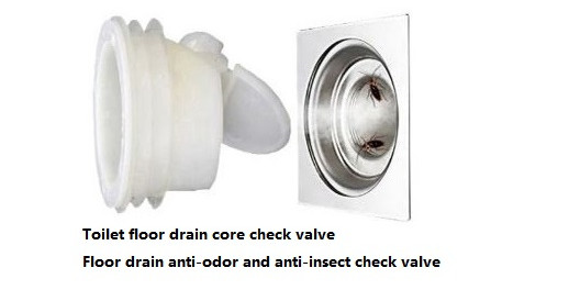 Toilet floor drain core check valve